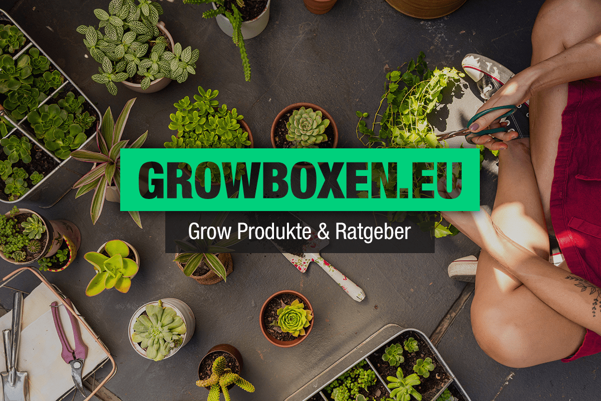 (c) Growboxen.eu