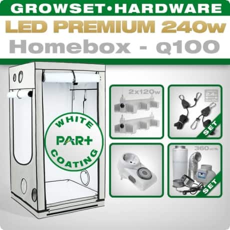 20220105191740-LED-Grow-Set-Homebox-Ambient-Q100-2xQ3WL-240w-6339 | growboxen.eu