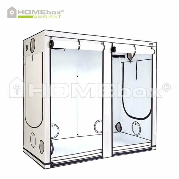 HOMEbox Ambient R240+ Plus / XXL 240x120x220cm