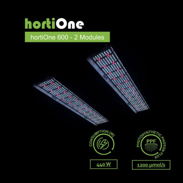 hortiONE V3 Professional LED Set, mit Bluetooth Dimmer, 2 x hortiONE 600 V3 LED